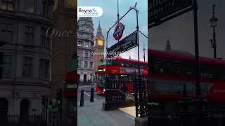 Study in the Heart of London  SRK  Reyna Overseas [upl. by Aritak]