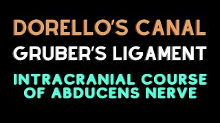 Intracranial course of abducent nerve Dorellos canal Grubers ligament [upl. by Nitz]