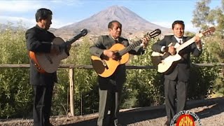 Trio ChuquibambaHipocresiaHuayno Arequipa [upl. by Nyleuqaj]