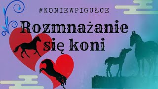 konieWpigułce  Rozmnażanie się koni ♡ Jak powstają źrebaki ♡ cz I [upl. by Valerlan]