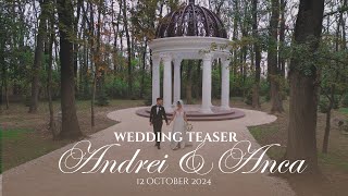 Cinematic Wedding Teaser 2024 [upl. by Millie]