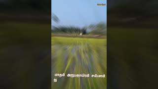 🌾Vivasayam WhatsApp Status video Tamil 🌾 [upl. by Nnednarb]