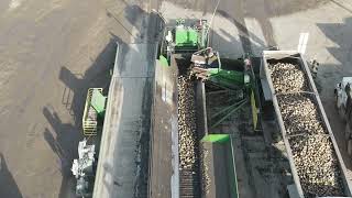 Sugar Beet Piling 2023 [upl. by Criswell]