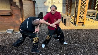 GM Walter Toch explain use Yin Yang in locks or Chin Na Chinese Martial Arts [upl. by Manus]