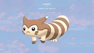 Furret Safe [upl. by Bencion609]