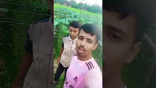 বেশিবেশিলাইকশেয়ারকরুনফলোকরুন sortvideo 2k24 [upl. by Hasan]