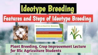 Ideotype breeding features and steps of ideotype breeding [upl. by Terchie]