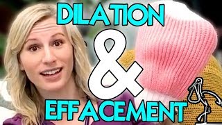 Dilation and Effacement Explained [upl. by Narak]