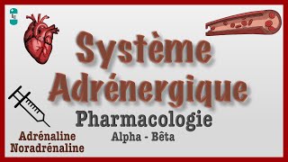 Système Adrénergique  Pharmacologie catécholamines agonistes antagonistes [upl. by Hassett]