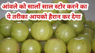 आंवले को सालों साल स्टोर करने ये तरीका आपको हैरान कर देगा How to preserve Amla at home [upl. by Beatriz]