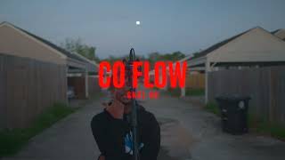 GNSL CO  Co Flow official music video [upl. by Adlin]