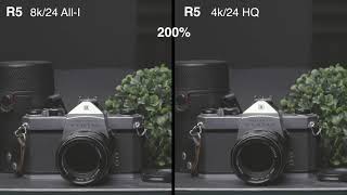 Canon R5 vs Eos R vs 1DXiii Video Sharpness Comparison and High ISO [upl. by Leesa]