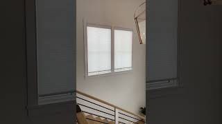 Motorized bottom up top down cellular shades [upl. by Ajup]