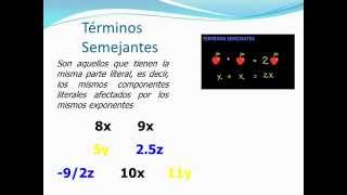 Terminología Algebraica [upl. by Nhar548]