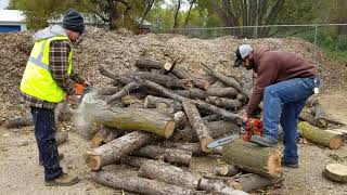 Stihl ms250 vs Husqvarna 445 race Erickson Tree Service [upl. by Leugimesoj]