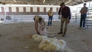 The Sheep Games Cammy Wilson Shearing Demo at the North American Hill Sheep Show [upl. by Narrad386]