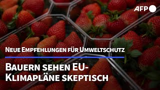 Neuer Klimaplan der EU könnte Bauernproteste neu entfachen  AFP [upl. by Idna496]