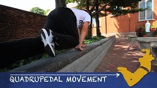 Parkour From Scratch 5  Quadrupedal Movement Tutorial  How to start Parkour [upl. by Muryh]