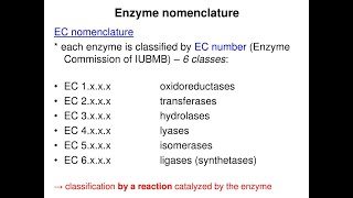 Enzymes Nomenclature and Classification EC 1 EC2 EC3 EC4 EC5 EC6 [upl. by Akinor]