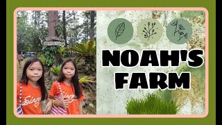 NOAHS FARM  CARMEN CEBU  TWINNIES AND ZION [upl. by Je]