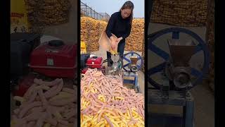 Corn chips🌽🌽 amazingfacts youtubeshorts [upl. by Cherry]