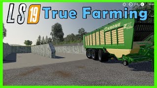 LS19  Silos ausleihen 👑 True Farming 186 👑 Landwirtschafts Simulator 2019 [upl. by Dick]