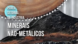 Conheça o setor de produtos de minerais nãometálicos  2024 [upl. by Enetsirk]