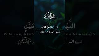 DaroodEIbrahimi ❤️ islamicvideo daroodsharif daroodibrahimi muslim share freepalstine islam [upl. by Okimat387]