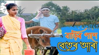 বাড়িৰ পাশে বেতেৰ আড়াBarir pase beter ara goalpariya songvillage comedy [upl. by Tempest]