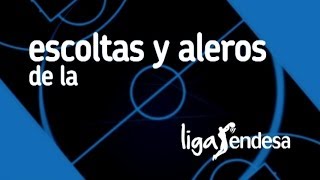 Escoltas y aleros de la Liga Endesa [upl. by Moody714]