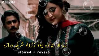 Zama Ao Sta Da Lewano Xrono Sharika Draza SlowedReverb pushto song pushto viral song [upl. by Brigid]