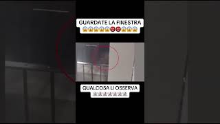 GUARDATE LA FINESTRA 😱😱😱 reels youtube parnormal shorts reels reelsvideo ghost [upl. by Irek925]