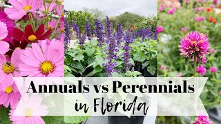 Annuals vs Perennials in Florida with Theresa [upl. by Aehtrod814]