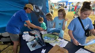 Oceanias Hunter Miller youth education Right Whale Festival 2024 [upl. by Lednek656]