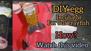 DIY crayfish egg Tumbler tutorial for crayfish egg or ARCpaanu nga ba gumawa nito watch this video [upl. by Franza]