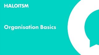 Organisation Basics in HaloITSM [upl. by Annayhs]