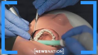 Drug to regrow teeth may be on market by 2030  NewsNation Live [upl. by Richmond315]