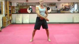 Taiji  Tai Chi  Low Impact First Lesson for seniors [upl. by Nahtanod]