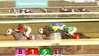 CHURCHILL DOWNS 20071109 Race 5 [upl. by Enelyw904]