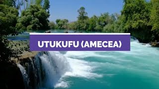 Utukufu AMECEA Mass  TO Kajwang  Lyrics video [upl. by Anuaf]