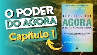 01  O PODER DO AGORA  Capítulo 1  Audiobook  Eckhart Tolle [upl. by Nohtanoj]