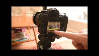 Nikon D500 AF Calibration tutorial [upl. by Pentheam]