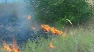 Incendies en Russie un léger mieux mais propagation dans le sud [upl. by Alonso696]