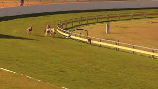 Bundaberg22072024Race9 [upl. by Rust]