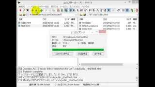 FTPファイル転送ツール「FFFTP」の使い方 [upl. by Airdnekal]