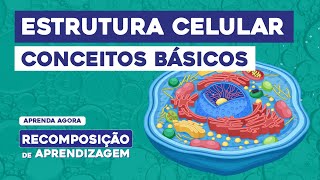 ESTRUTURA CELULAR conceitos básicos  Recomposição de Aprendizagem  Cláudia de Souza Aguiar [upl. by Rozele364]