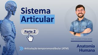 SISTEMA ARTICULAR  PARTE 2  ARTICULAÇÃO TEMPOROMANDIBULAR ATM [upl. by Judye]