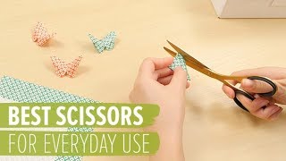 The Best Scissors for Everyday Use [upl. by Eetsud]