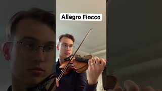 Violinist plays allegro fiocco violinist violin [upl. by Nilpik]