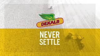 DEKALB® brand Always innovate Never settle 30 [upl. by Turk]